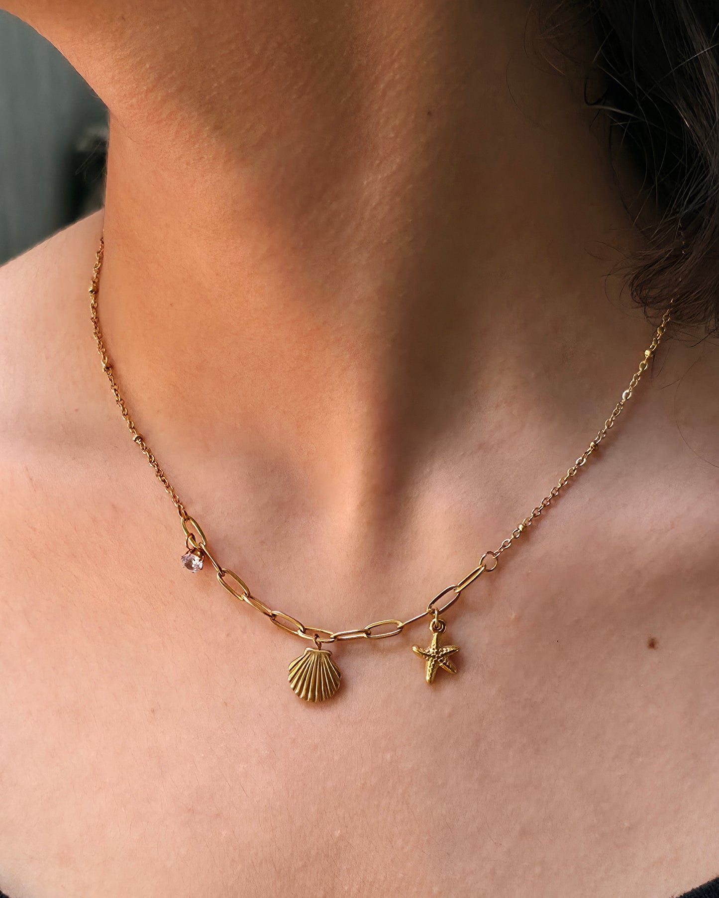 Star Shell Necklace