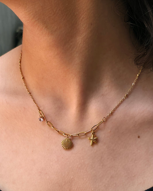Star Shell Necklace